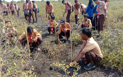 GERAKAN PEDULI LINGKUNGAN DENGAN KEGIATAN PENANAMAN POHON MANGROVE OLEH PRAMUKA HAMBALAN ARYA KAMANDANU – SMA WALISONGO